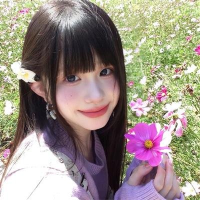 大贼与金丝猫